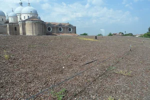 Dachsicherungen mit Seilsicherung